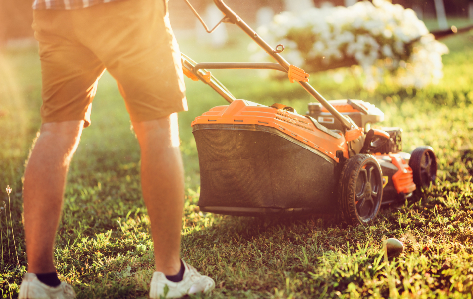 Person pushing lawnmower