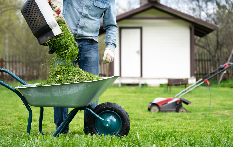 wheelbarrow in grass
